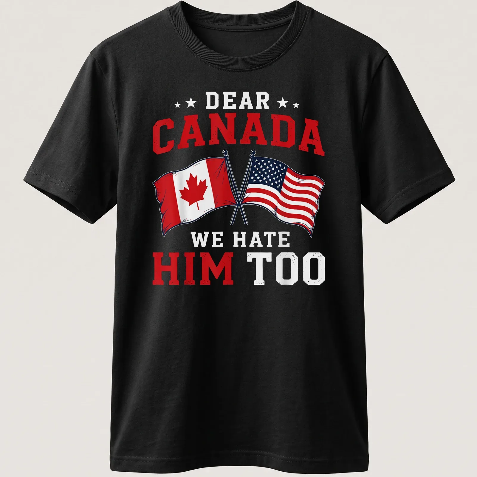 Bold graphic t-shirt with Canadian and American flags and humorous text — printed on a unisex t-shirt