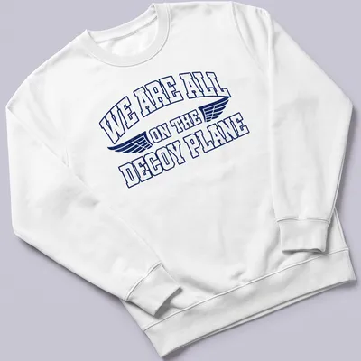 Vintage distressed t-shirt featuring humorous text about a decoy plane. — printed on a unisex sweatshirt