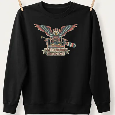 Vintage eagle graphic with 'Lake America Social Club' printed in red, blue, and cream — printed on a unisex sweatshirt