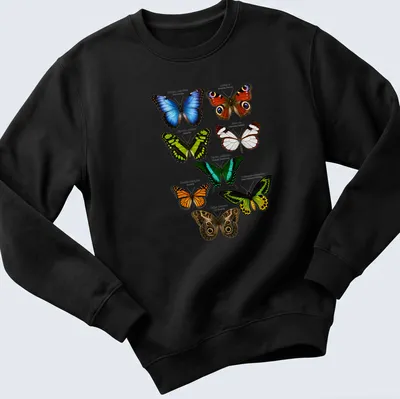 Detailed scientific illustration of various exotic butterfly species in vibrant colors — printed on a unisex sweatshirt