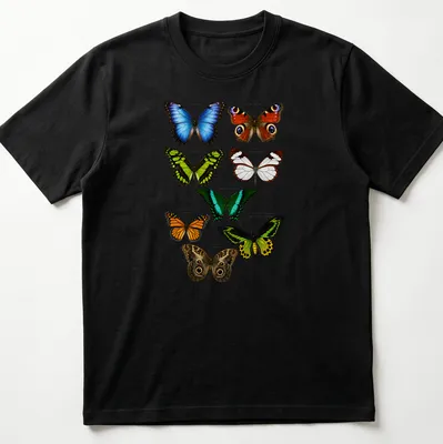 Detailed scientific illustration of various exotic butterfly species in vibrant colors