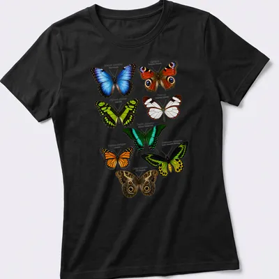 Detailed scientific illustration of various exotic butterfly species in vibrant colors — printed on a women's shirt