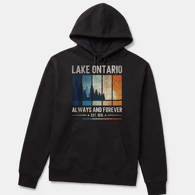 Vintage landscape print of Lake Ontario with trees and sunset in soft colors. — printed on a unisex hoodie