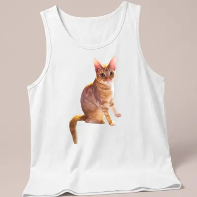 Realistic print of an orange cat lounging with cream and brown fur — printed on a tank top
