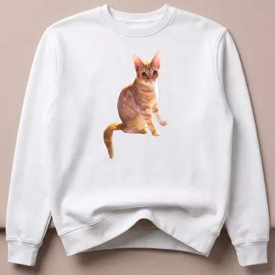 Realistic print of an orange cat lounging with cream and brown fur — printed on a unisex sweatshirt
