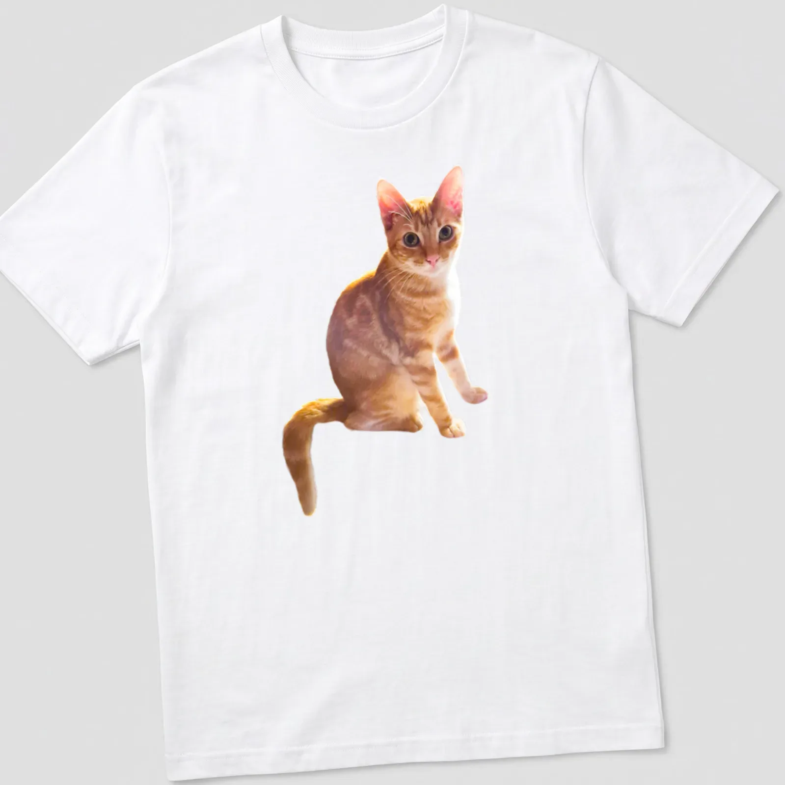 Realistic print of an orange cat lounging with cream and brown fur — printed on a unisex t-shirt