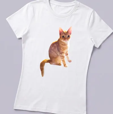 Realistic print of an orange cat lounging with cream and brown fur — printed on a women's shirt
