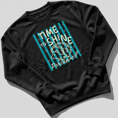 Playful line-art of a porcupine with the text 'TIME TO SHINE' in turquoise and cream — printed on a unisex sweatshirt